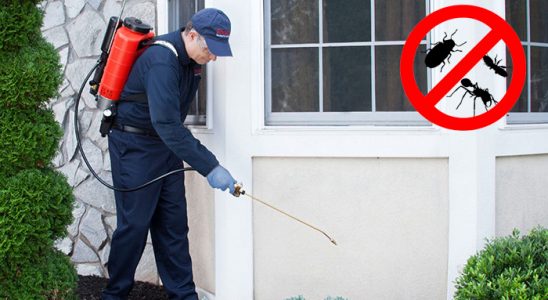 Kağıthane Böcek İlaçlama böcek ilaçlama ve haşere kontrolü — ilaclama-tr.com